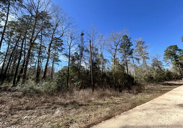 Homes for sale in Woodville, TX | Lot 35 N Friar Tuck Dr, Woodville, TX 75979 | MLS# 21194484