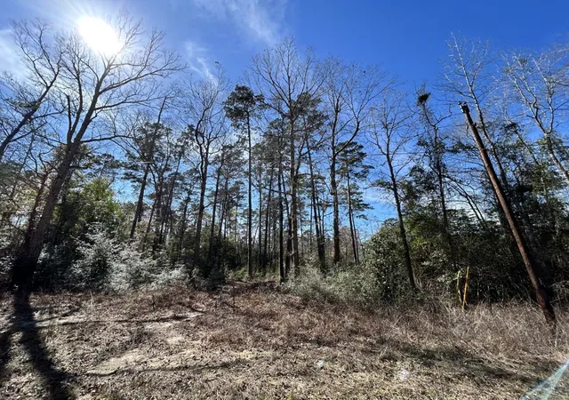 Homes for sale in Woodville, TX | Lot 35 N Friar Tuck Dr, Woodville, TX 75979 | MLS# 21194484