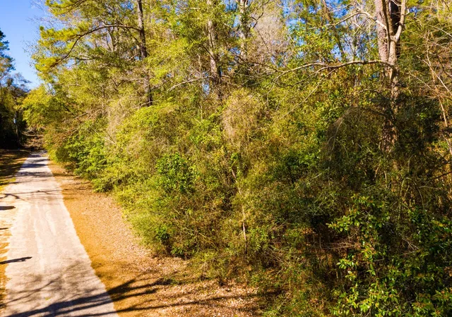 Homes for sale in Woodville, TX | Lot 26 Buckingham Dr, Woodville, TX 75979 | MLS# 21194740