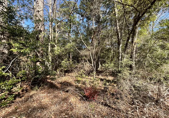 Homes for sale in Woodville, TX | Lot 26 Buckingham Dr, Woodville, TX 75979 | MLS# 21194740