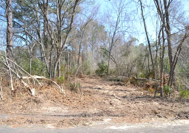 Homes for sale in Quitman, TX | Lot 128, 144 County Road 2123, Quitman, TX 75783 | MLS# 21193714