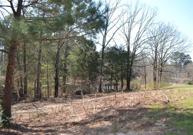 Homes for sale in Quitman, TX | Lot 128, 144 County Road 2123, Quitman, TX 75783 | MLS# 21193714