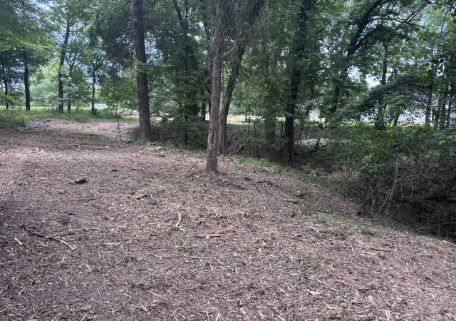 Photo 3 of Land for sale at Tbd Cr 1503, Alba, TX 75410 | MLS# 21195081 | Listing updated on 2026-10-07