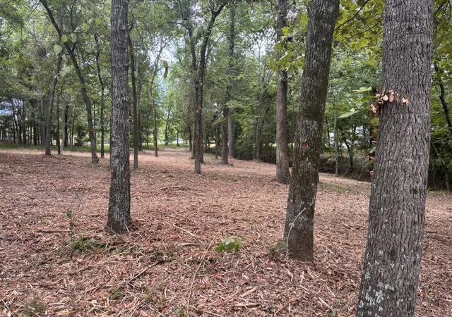 Photo 3 of Land for sale at Tbd Cr 1503, Alba, TX 75410 | MLS# 21195081 | Listing updated on 2026-10-07