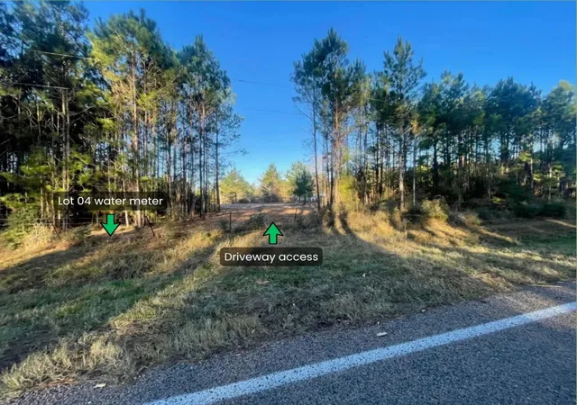 3rd image of Lot 4 E Fm 942, Corrigan, TX 75934 | MLS# 21195387