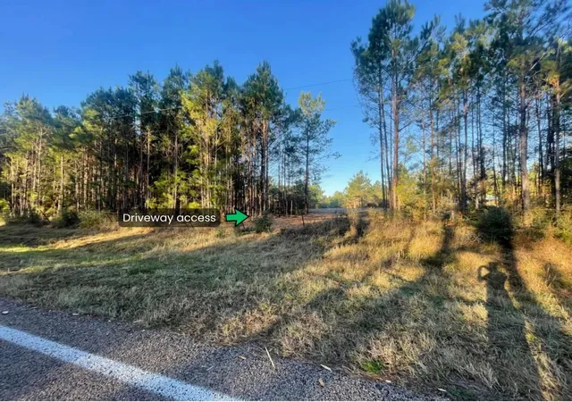 4th image of Lot 4 E Fm 942, Corrigan, TX 75934 | MLS# 21195387