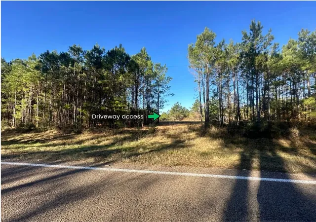 5th image of Lot 4 E Fm 942, Corrigan, TX 75934 | MLS# 21195387
