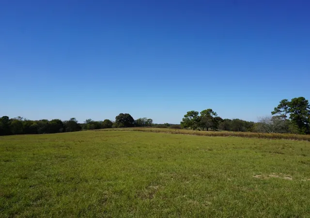 Photo 1 of Land for sale at Cr4301 Plainview Rd, Naples, TX 75571 | MLS# 21195776 | Listing updated on 2026-08-20