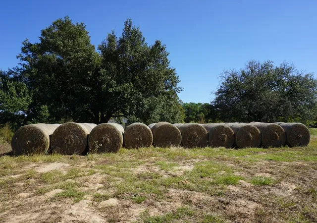 Photo 2 of Land for sale at Cr4301 Plainview Rd, Naples, TX 75571 | MLS# 21195776 | Listing updated on 2026-08-20