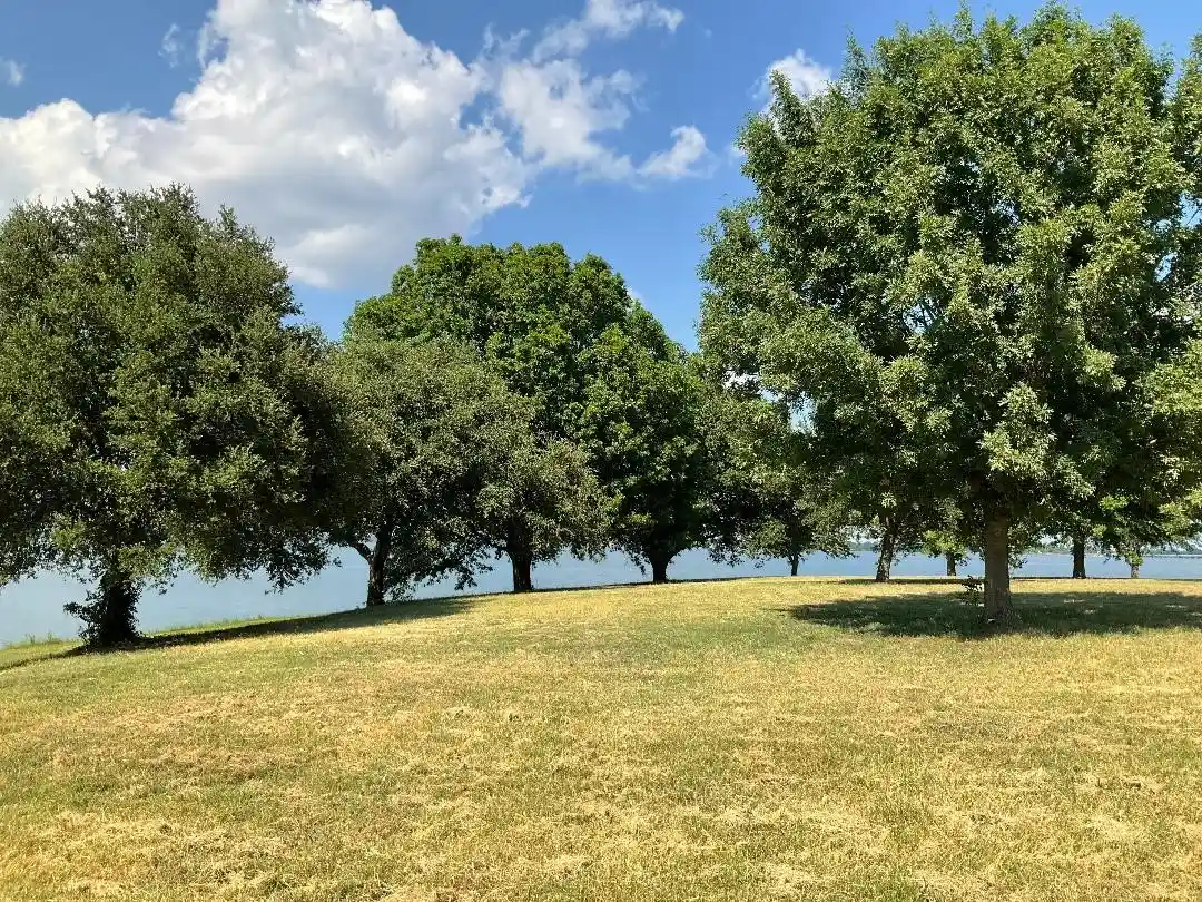 Photo 1 of Land for sale at 2 Acres +/  Se County Road 3186, Corsicana, TX 75109 | MLS# 21195988 | Listing updated on 2026-03-03