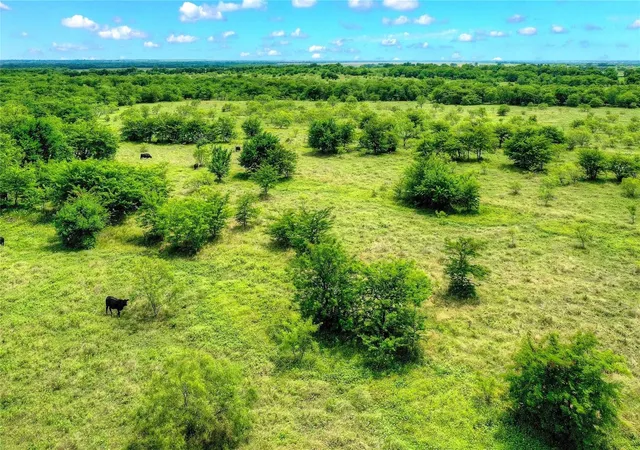 Homes for sale in Collinsville, TX | Tbd 14 Acres Winn Rd, Collinsville, TX 76233 | MLS# 21190592