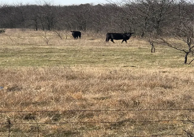 Photo 2 of Land for sale at Tbd 14 Acres Winn Rd, Collinsville, TX 76233 | MLS# 21190592 | Listing updated on 2026-07-26