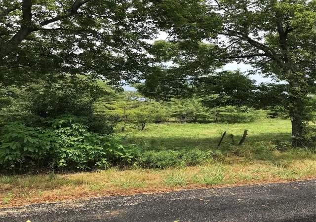 Photo 3 of Land for sale at Tbd 14 Acres Winn Rd, Collinsville, TX 76233 | MLS# 21190592 | Listing updated on 2026-07-26