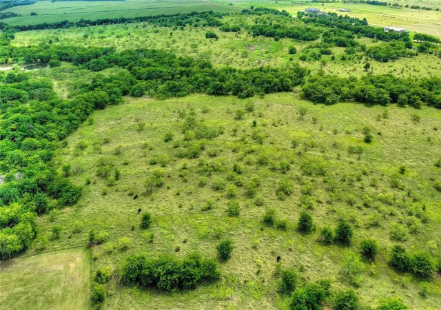 Photo 3 of Land for sale at Tbd 14 Acres Winn Rd, Collinsville, TX 76233 | MLS# 21190592 | Listing updated on 2026-10-07
