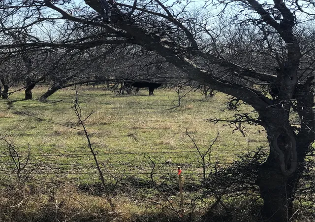 Photo 4 of Land for sale at Tbd 14 Acres Winn Rd, Collinsville, TX 76233 | MLS# 21190592 | Listing updated on 2026-10-07