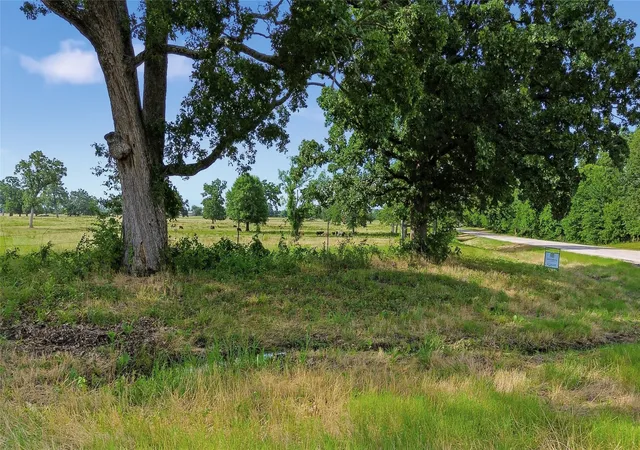 Homes for sale in Klondike, TX | Tbd Fm 1531, Klondike, TX 75448 | MLS# 21196055