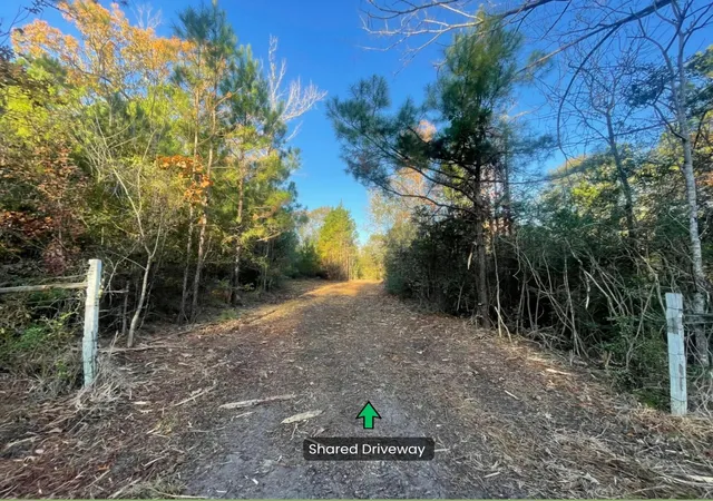 4th image of Lot 5 E Fm 942, Corrigan, TX 75934 | MLS# 21196496