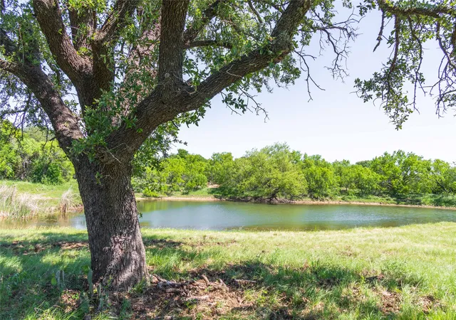 Homes for sale in Carbon, TX | 91 Acres Co Rd 370, Carbon, TX 76435 | MLS# 21196516
