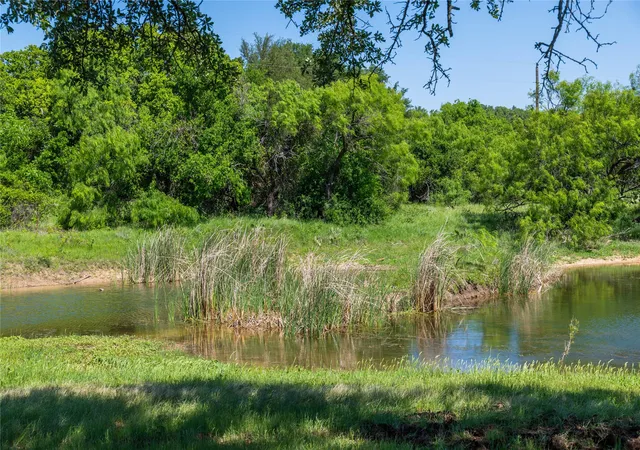 Homes for sale in Carbon, TX | 91 Acres Co Rd 370, Carbon, TX 76435 | MLS# 21196516