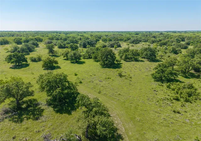 Homes for sale in Carbon, TX | 91 Acres Co Rd 370, Carbon, TX 76435 | MLS# 21196516