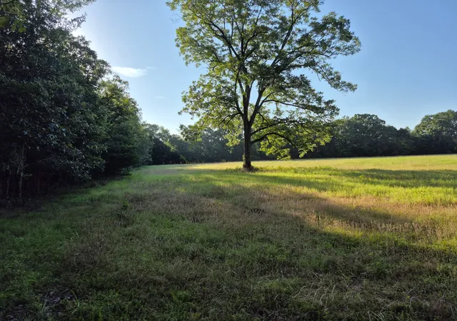 Photo 4 of Land for sale at 1485 Cr 44550, Paris, TX 75462 | MLS# 21197242 | Listing updated on 2026-08-22