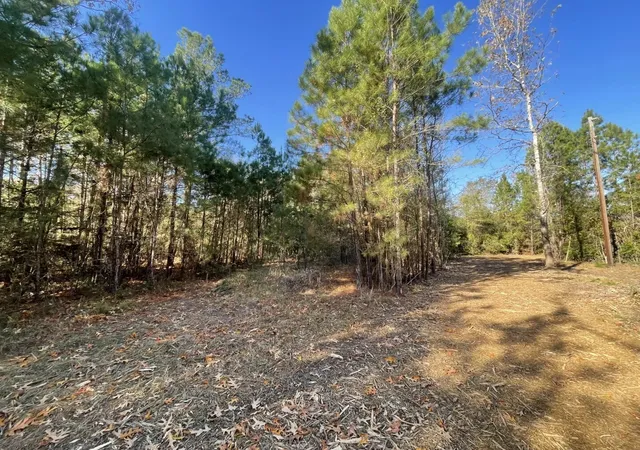 40th image of Lot 6 E Fm 942, Corrigan, TX 75934 | MLS# 21197276