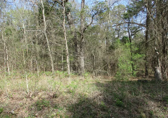 Photo 1 of Land for sale at Tbd County Road 2958, Alba, TX 75410 | MLS# 21197532 | Listing updated on 2026-08-25