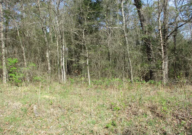 Photo 2 of Land for sale at Tbd County Road 2958, Alba, TX 75410 | MLS# 21197532 | Listing updated on 2026-08-25