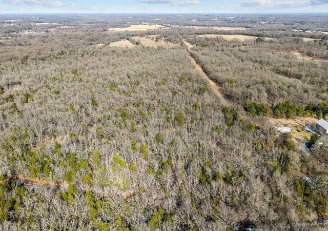 Photo 3 of Land for sale at Tbd County Road 3105, Edgewood, TX 75117 | MLS# 21197914 | Listing updated on 2026-08-28