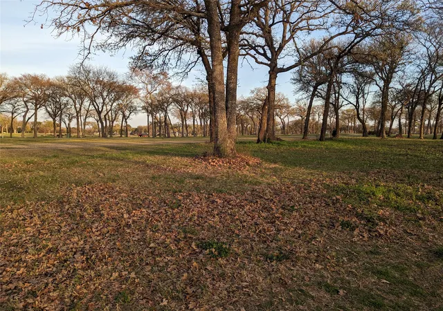 Photo 3 of Land for sale at 0 Briarwood Dr, Kemp, TX 75143 | MLS# 21198002 | Listing updated on 2026-10-05