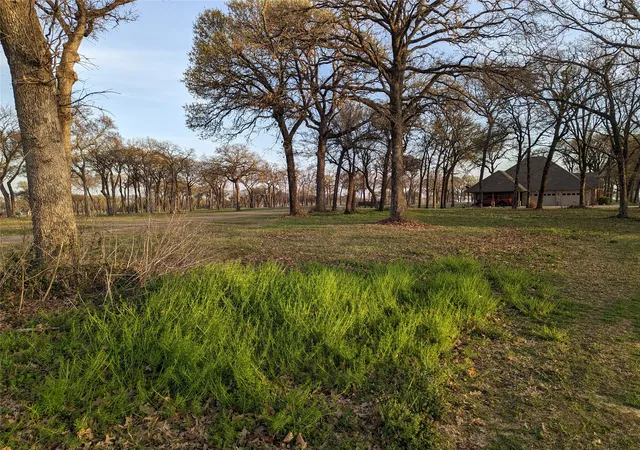 Photo 3 of Land for sale at 0 Briarwood Dr, Kemp, TX 75143 | MLS# 21198002 | Listing updated on 2026-10-05