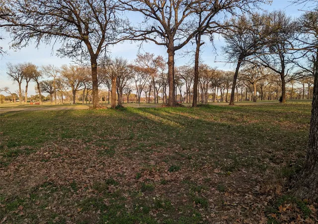 Photo 4 of Land for sale at 0 Briarwood Dr, Kemp, TX 75143 | MLS# 21198002 | Listing updated on 2026-10-05
