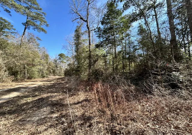 Homes for sale in Woodville, TX | Lots 100 111 Lady Georgie St, Woodville, TX 75979 | MLS# 21198216