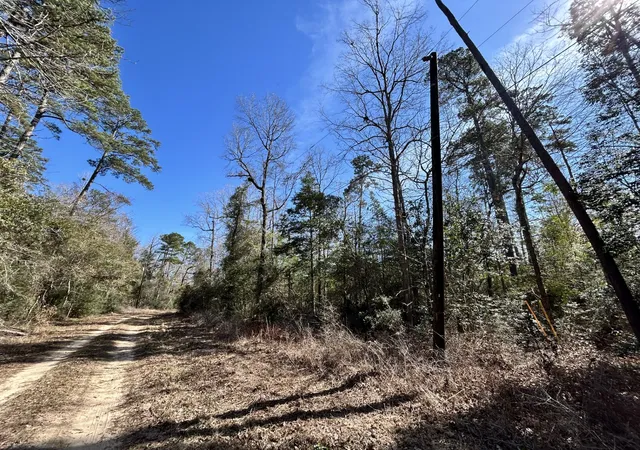 Homes for sale in Woodville, TX | Lots 100-111 Lady Georgie St, Woodville, TX 75979 | MLS# 21198216
