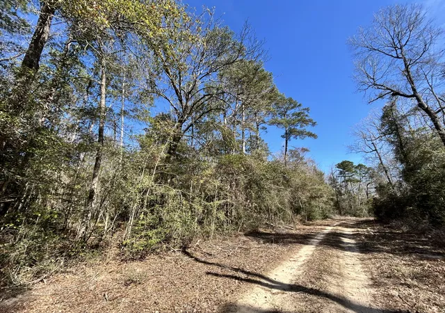 Homes for sale in Woodville, TX | Lots 100-111 Lady Georgie St, Woodville, TX 75979 | MLS# 21198216