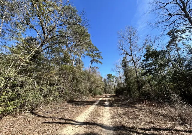 Homes for sale in Woodville, TX | Lots 100-111 Lady Georgie St, Woodville, TX 75979 | MLS# 21198216