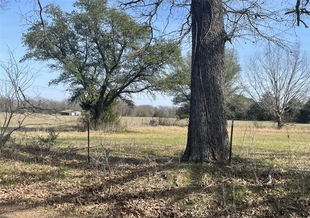 Photo 3 of Land for sale at 1226 Vz County Rd, Grand Saline, TX 75140 | MLS# 21198343 | Listing updated on 2026-09-02