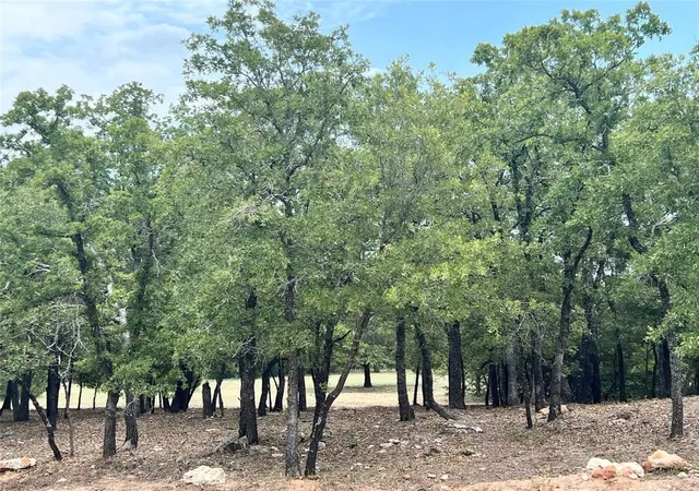 Photo 3 of Land for sale at 310 Rolling Bend, Alvord, TX 76225 | MLS# 21195229 | Listing updated on 2026-09-01