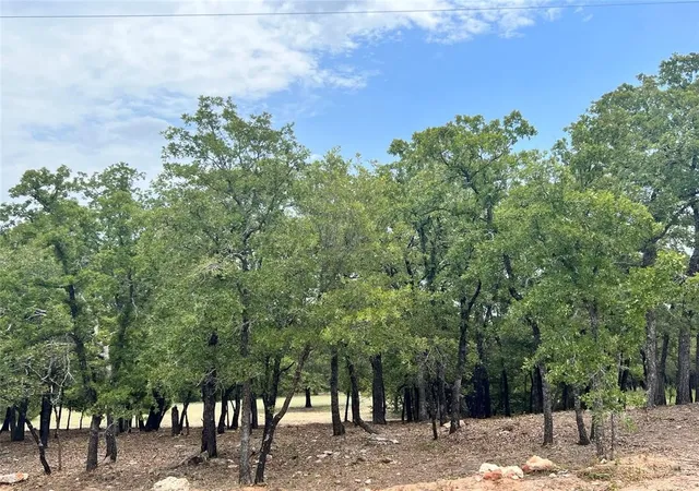 Photo 3 of Land for sale at 310 Rolling Bend, Alvord, TX 76225 | MLS# 21195229 | Listing updated on 2026-09-01