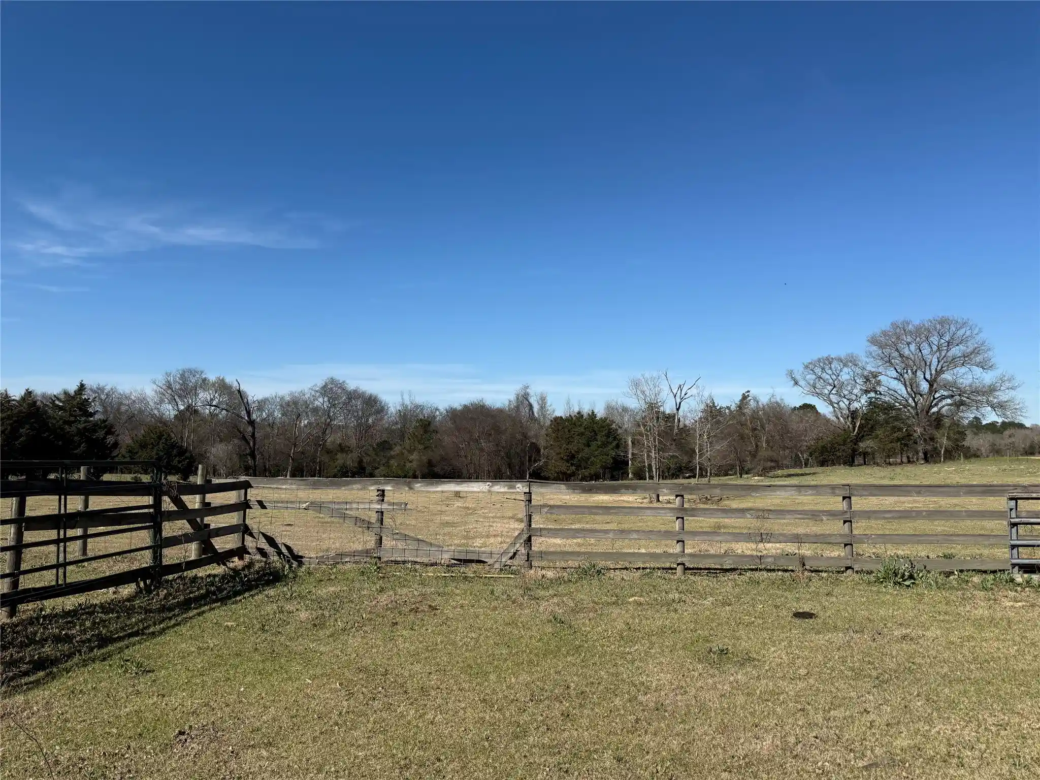 Land for sale at Tbd Cr 1755, Grapeland, TX 75844 | MLS# 21196805