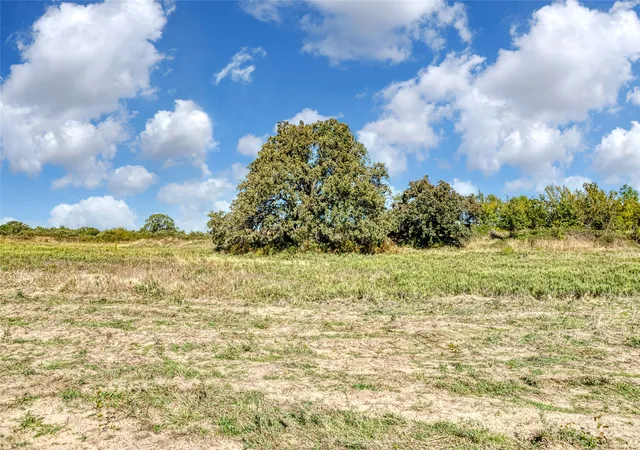 Homes for sale in Perrin, TX | Tbd Coyote Meadow Ln, Perrin, TX 76486 | MLS# 21186557