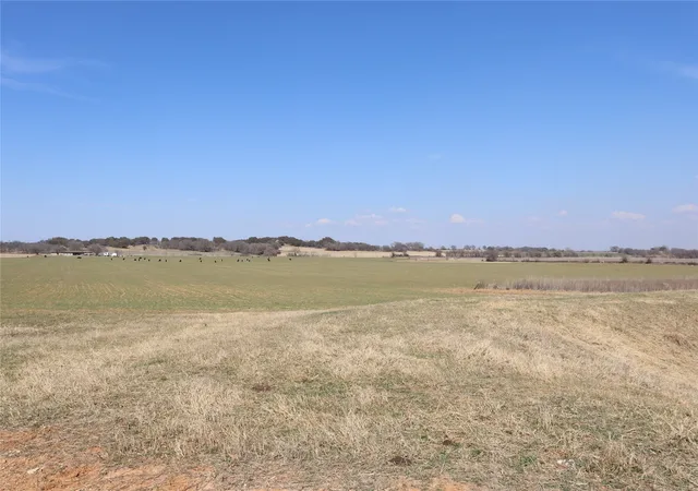 Homes for sale in Comanche, TX | Tbd Cr415, Comanche, TX 76442 | MLS# 21199371
