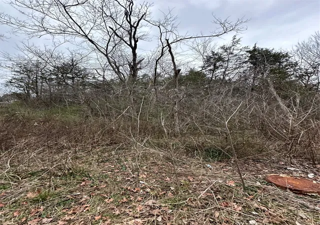 Photo 3 of Land for sale at 629 E Munson St, Denison, TX 75021 | MLS# 21198504 | Listing updated on 2026-10-07