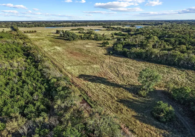Homes for sale in Honey Grove, TX | 300 Co Rd 27100, Honey Grove, TX 75446 | MLS# 21199708