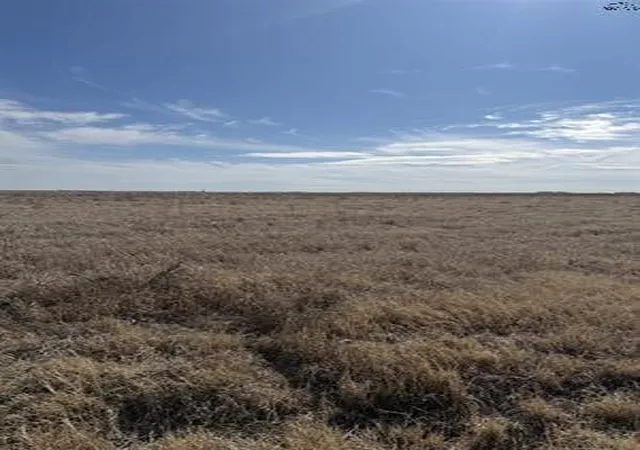 Homes for sale in Haskell, TX | Tbd Cr 168, Haskell, TX 75921 | MLS# 21200027