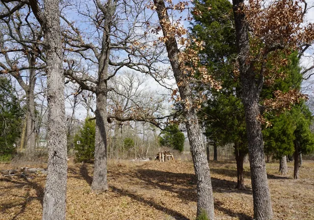 Homes for sale in Log Cabin, TX | 1698 Doc Holiday Dr, Log Cabin, TX 75148 | MLS# 21200038