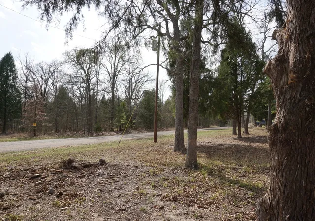 Homes for sale in Log Cabin, TX | 1698 Doc Holiday Dr, Log Cabin, TX 75148 | MLS# 21200038