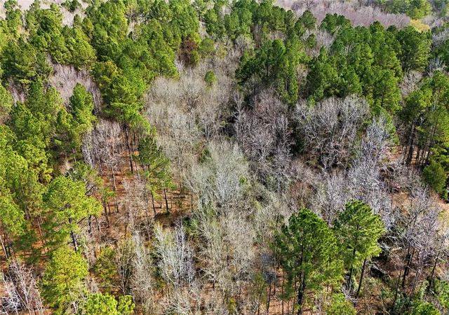 Homes for sale in Lindale, TX | Tbd County Rd 4122 Rd, Lindale, TX 75771 | MLS# 21200375