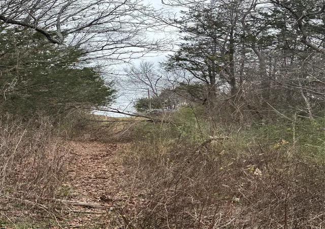 Photo 3 of Land for sale at 621 E Munson St, Denison, TX 75021 | MLS# 21197764 | Listing updated on 2026-10-07