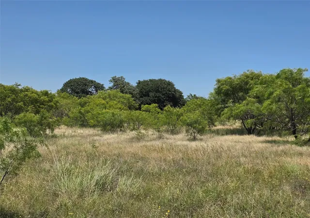 Homes for sale in Rising Star, TX | 1000 County Road 375, Rising Star, TX 76471 | MLS# 21201769